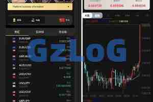 【商业资源】多语言外汇虚拟币贵金属三合一微交易