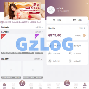 前端vue版空降同城任务源码/空降任务系统cai/带控完美运营