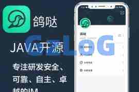 im聊天软件Java即时通讯源码原生APP双端+pc端+音视频通话