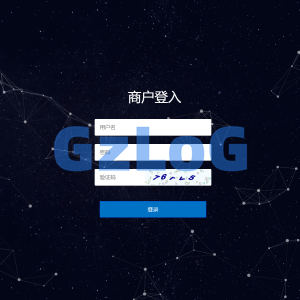 人工代付/代付支付系统/代付源码/支付系统/手工代付