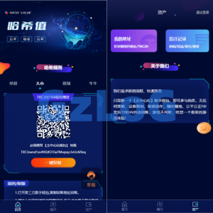 前端vue版哈希竞彩/区块链哈希值游戏/usdt/trx双玩法