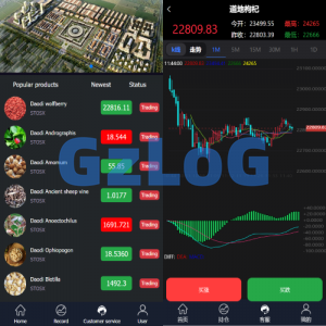 完美版三语言微交易系统/微盘源码/K线正常/投资理财源码