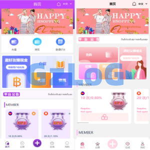 九套UI可切换海外抢单刷单系统/订单自动匹配系统/分组杀/连单控