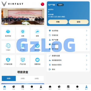 海外投资众筹系统/越南投资理财/前端VUE