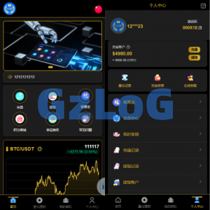 多语言虚拟币量化投资系统/海外币种投资/前端vue