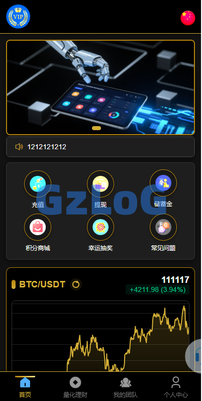多语言虚拟币量化投资系统/海外币种投资/前端vue