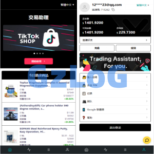 海外TIKTOK抢单刷单/60关卡任务/金额打针/连单卡单