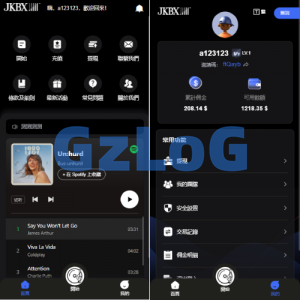 海外音乐抢单刷单系统/卡单/重置订单/前端VUE