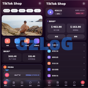 新版TIKTOK抢单刷单/打针派单/连单卡单/JAVA刷单