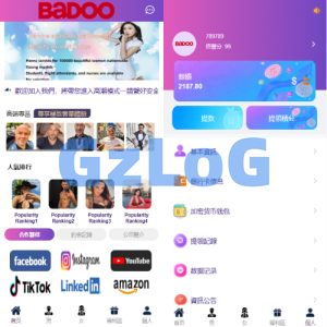 海外欧美空降系统/同城任务/男女约会/多语言空降
